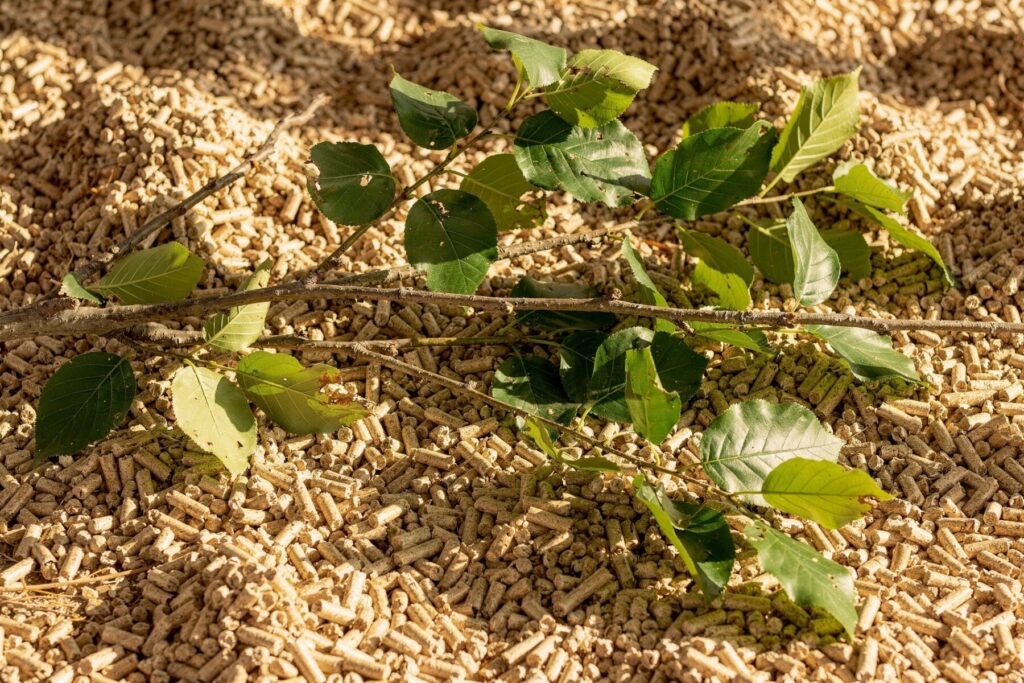 Pellet drzewny na tle naturalnych odpadów roślinnych, idealny do ekologicznego ogrzewania. Dostawa pelletu dostępna w atrakcyjnych cenach. - Parzęczew